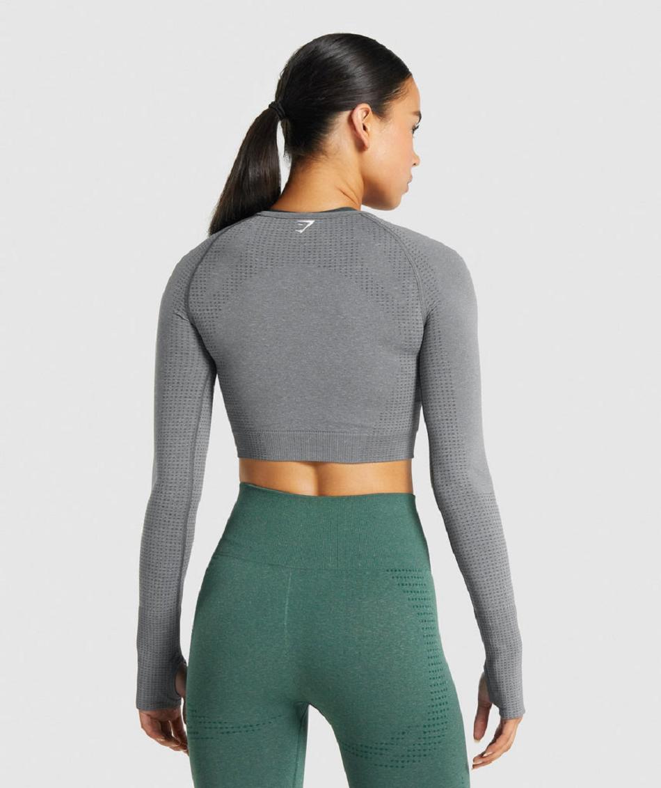 Corp Tops Gymshark Vital Seamless 2.0 Long Sleeve Mujer Gris | CO 2541ILH